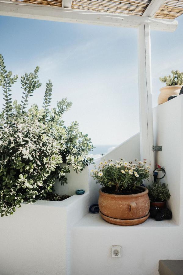 Kalyva Cycladic House - Oia Santorini Βίλα Εξωτερικό φωτογραφία